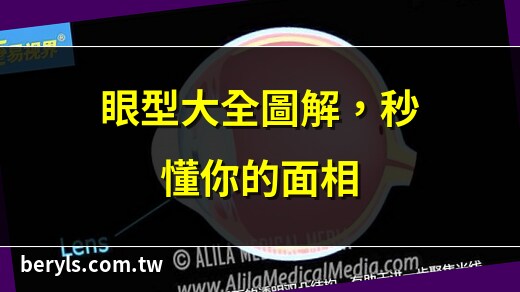眼睛眼型