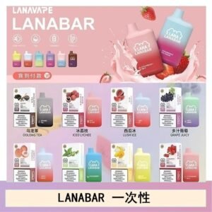 LANA BAR可充电一次性電子煙霧化5000口(3.0%)